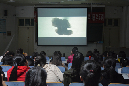 beat365亚洲体育官方网站开展经典影片观摩活动