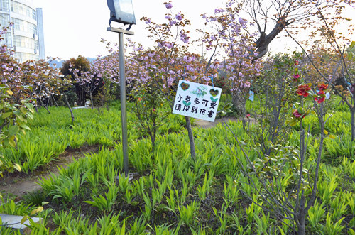 beat365亚洲体育官方网站举办挂树牌活动